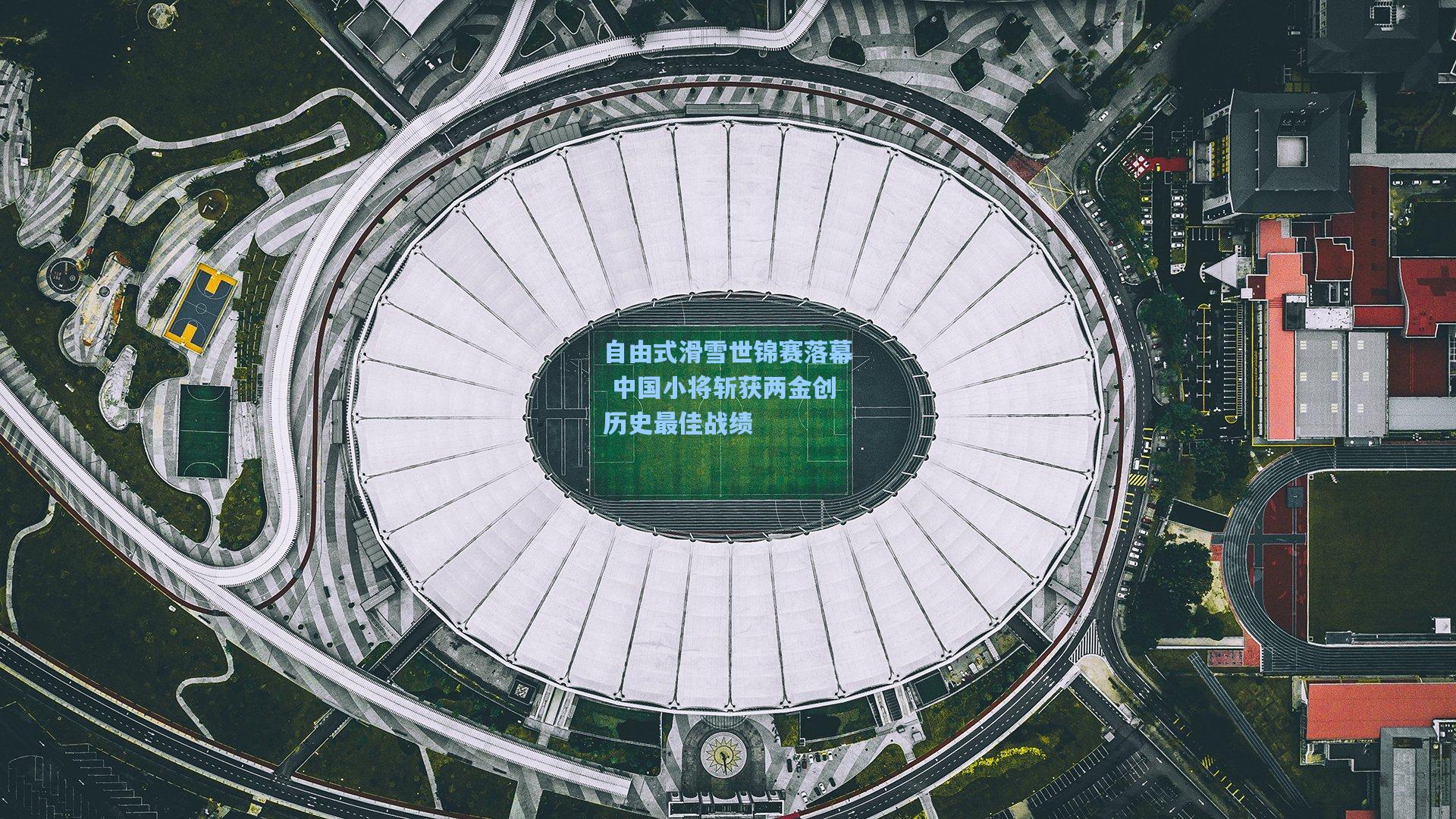 自由式滑雪世锦赛落幕 中国小将斩获两金创历史最佳战绩