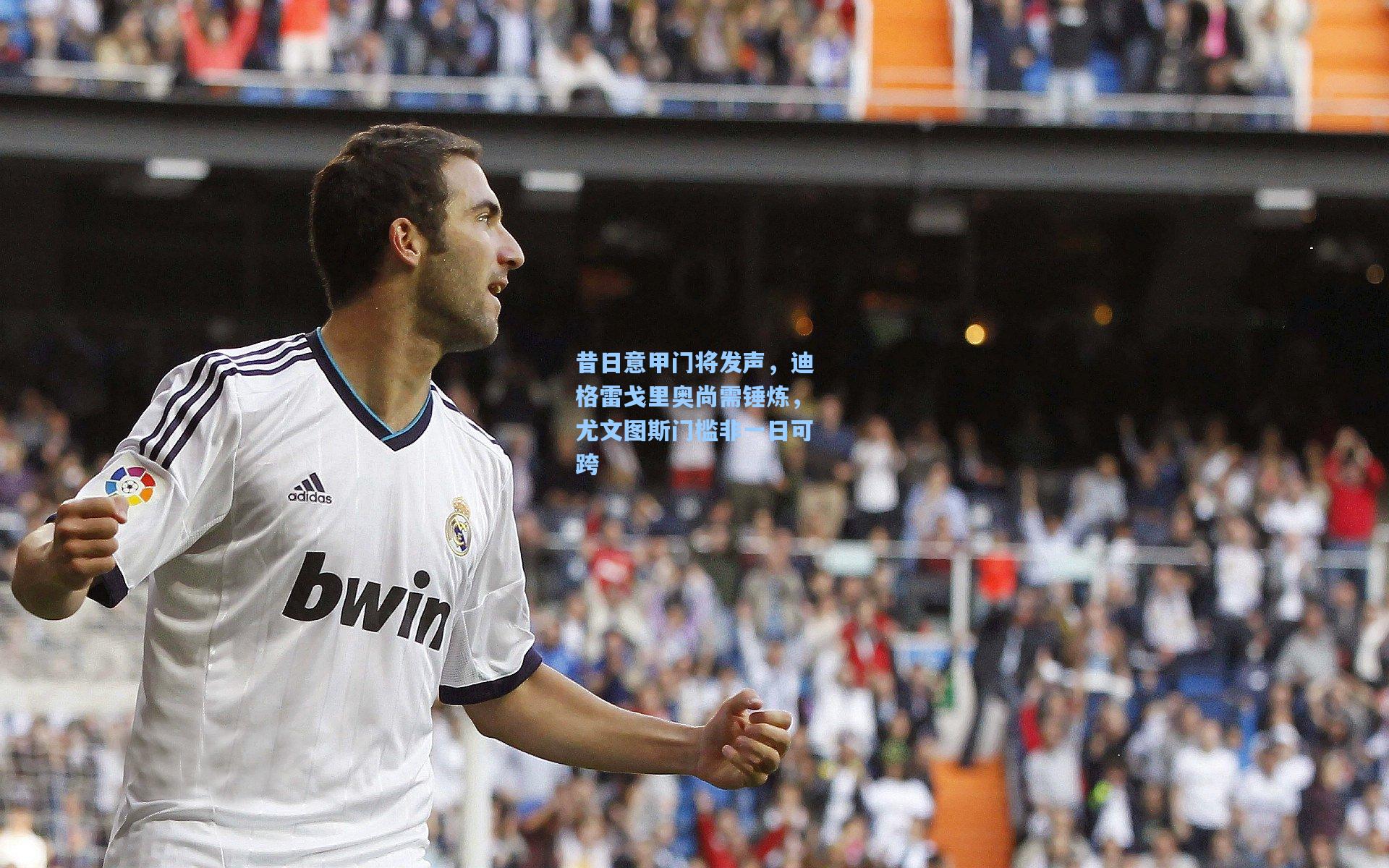 昔日意甲门将发声，迪格雷戈里奥尚需锤炼，尤文图斯门槛非一日可跨